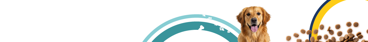 banner-fiera banner fiera