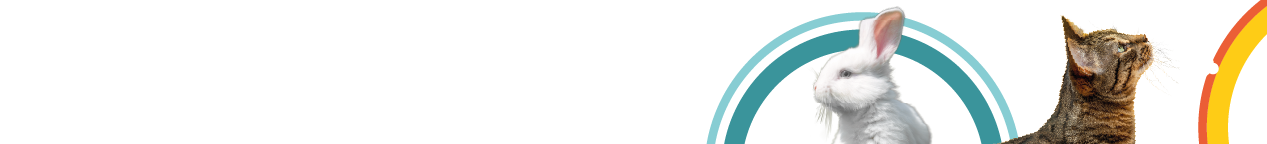 banner-promo banner promo offerte